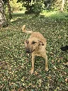 1000094945.webp