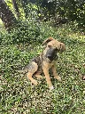 20260808_154403.webp