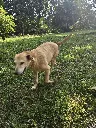 20260808_154509.webp