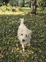 20260808_153508.webp