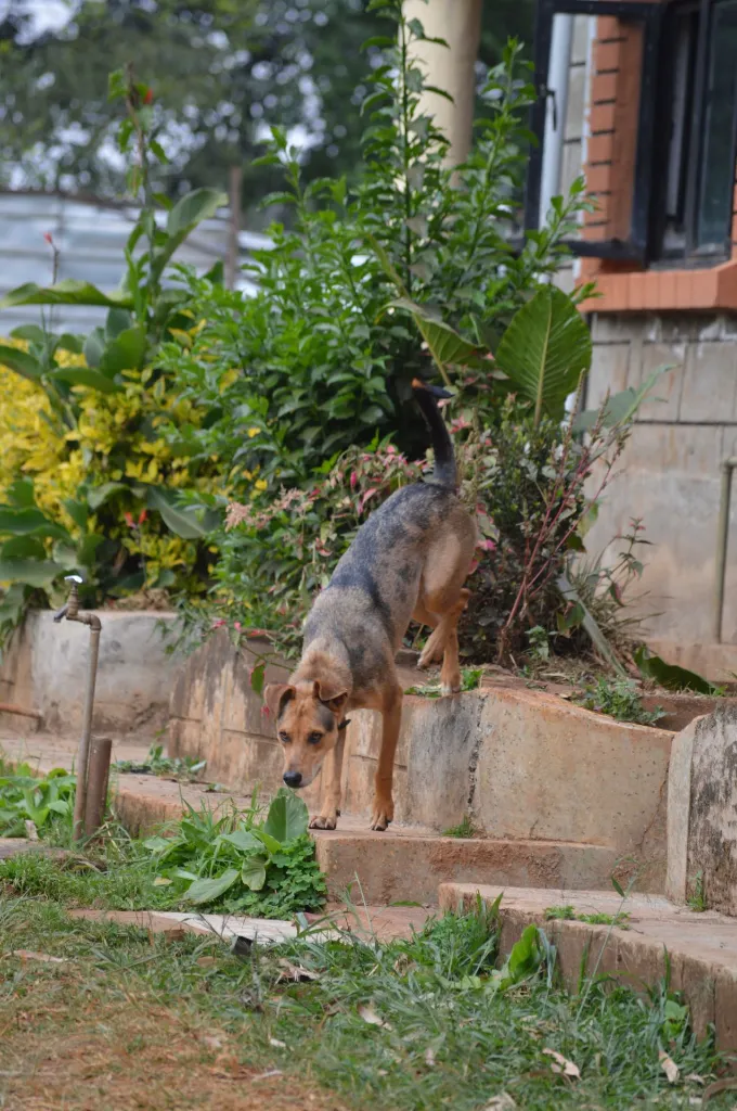 IMG-20260731-WA0018.webp