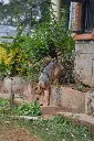 IMG-20260731-WA0018.webp