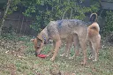 IMG-20260810-WA0092.webp