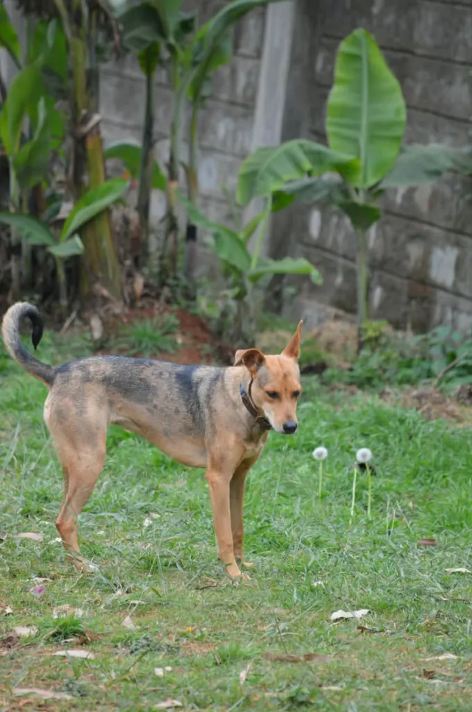 IMG-20260810-WA0085.webp