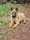 20260510_163614.webp