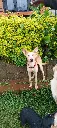 IMG-20260429-WA0024.webp