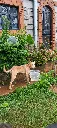 IMG-20260429-WA0020.webp
