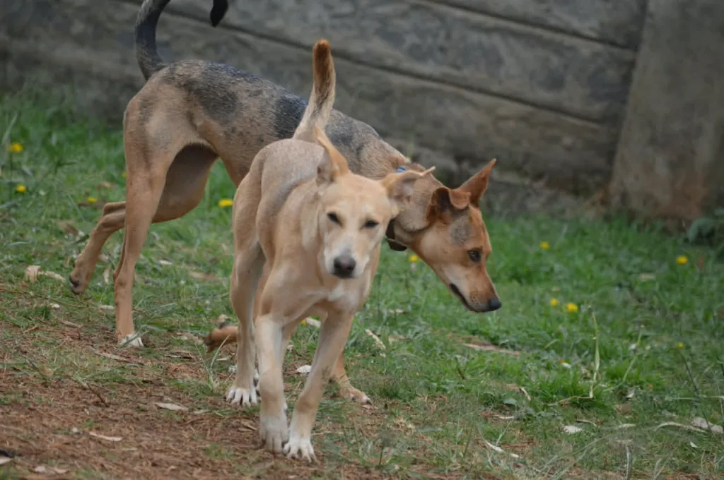 IMG-20260810-WA0088.webp