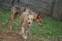 IMG-20260810-WA0088.webp