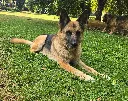 20260808_153207.webp