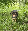 20260808_155433.webp