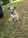 20260811_133037.webp