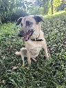 20260808_153944.webp