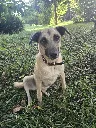 20260808_153947.webp