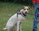 IMG-20260811-WA0045.webp
