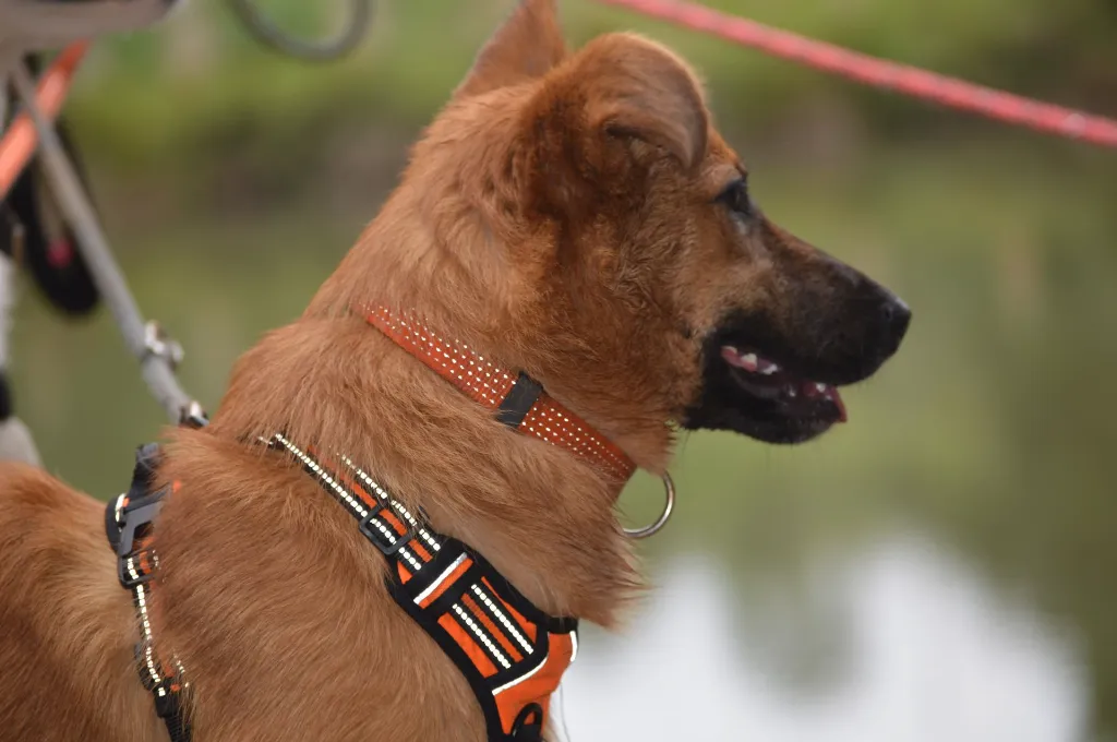 IMG-20260618-WA0034.webp