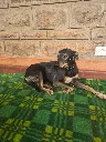 1000096737.webp