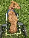 20260531_154006.webp