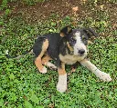 20260808_155217.webp