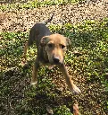 20260808_154416-EDIT.webp