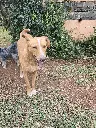 20261022_134217.webp