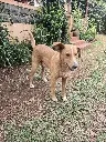 20261022_134221.webp