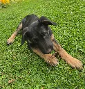 20260808_155314 (1).webp