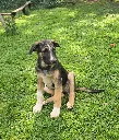 20260808_154945.webp