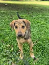 20260808_152135.webp