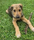 20260808_155010.webp