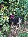 IMG-20260802-WA0025.webp