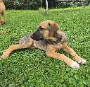 20260808_154855 (2).webp