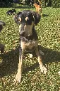 20260808_152552.webp