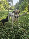 20260808_153816.webp