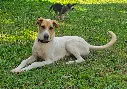 20260808_154142-EDIT.webp