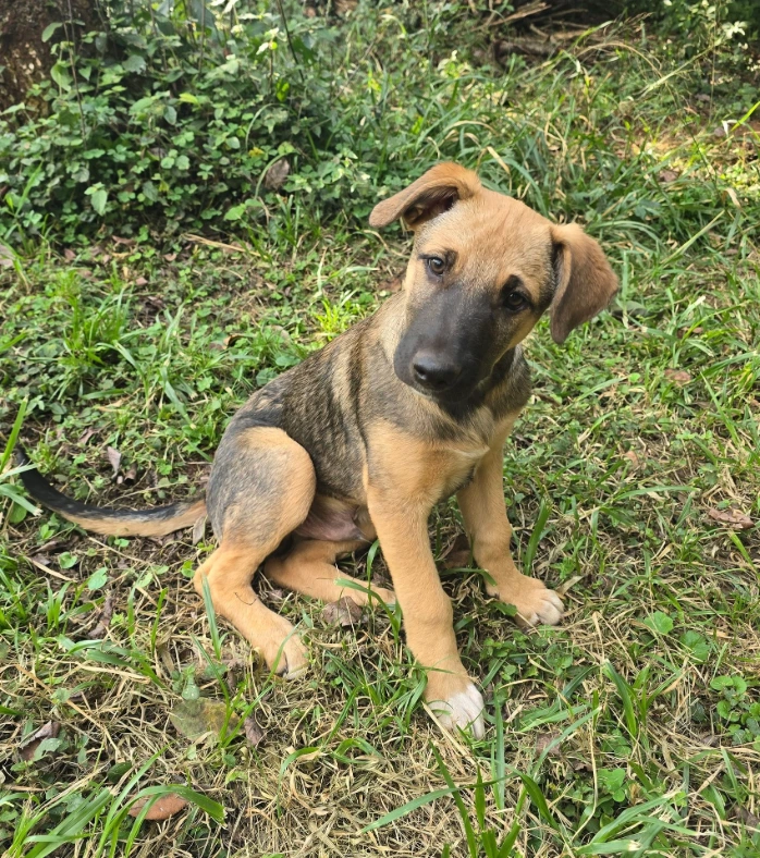 Axle