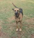 Bahati