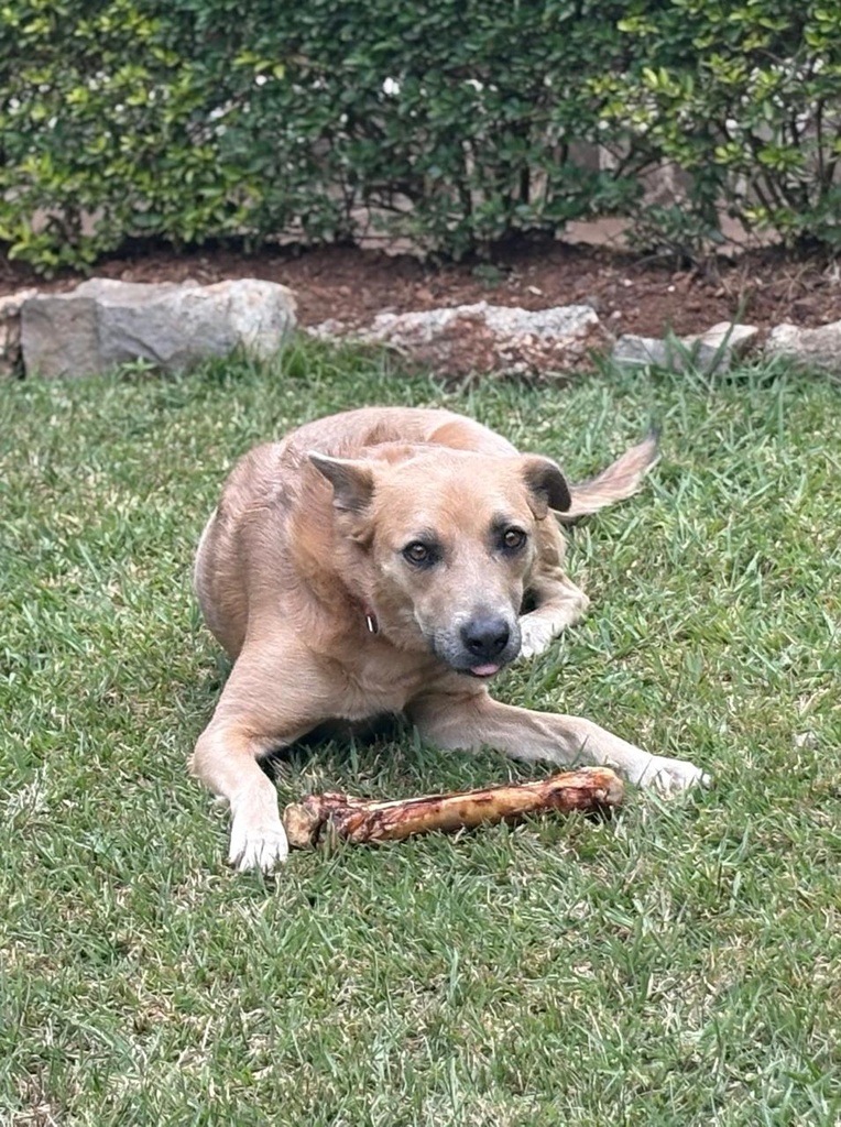 Lulu