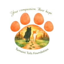 Tumaini Tails Foundation